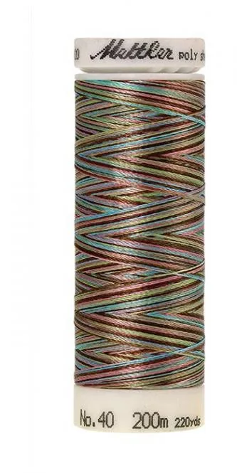 Spule Poly Sheen Multi Tween Fashion, bunt mit Braun, Mint, Rosa und Hellblau