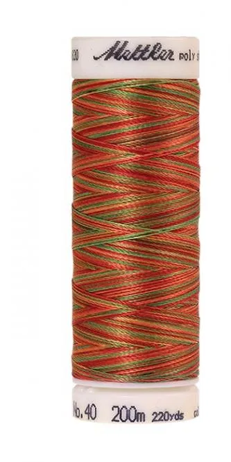 Spule Poly Sheen Multi Mexicana, bunt mit Rot, Orange, Grün und Gelb
