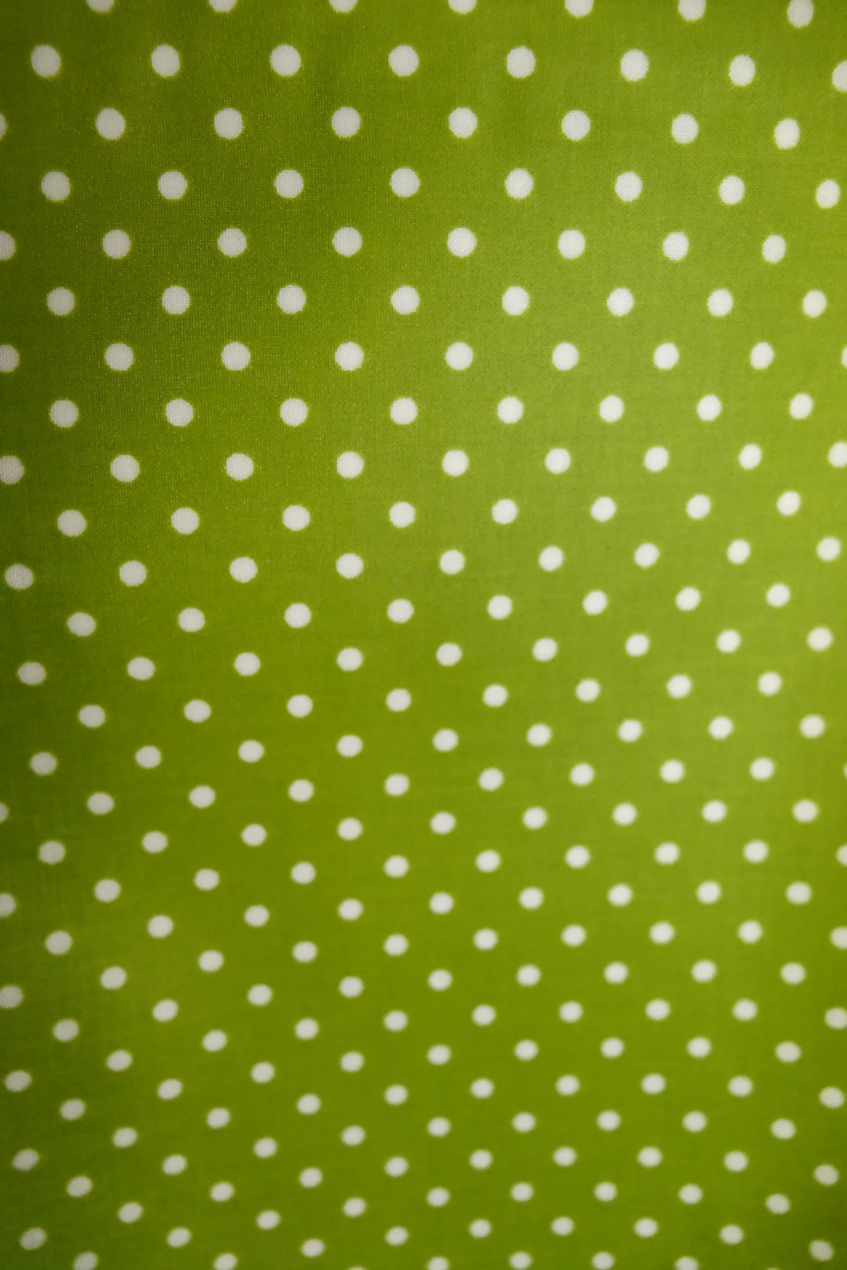 Baumwolle beschichtet Punkte in Limegrün/Weiß, Meterware im Detail