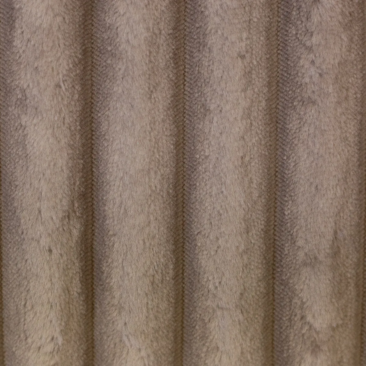 Cord Plön Plüsch-Breitcord in Beige, in der Nahaufnahme