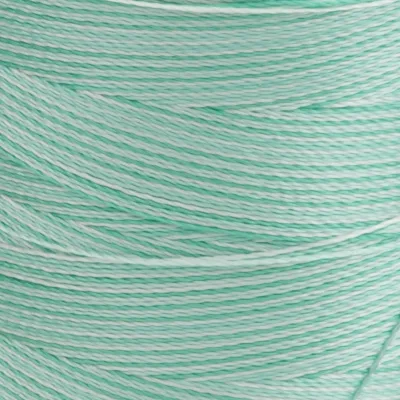 Spule Sulky Rayon 40 Stickgarn in Hellgrün, Farbcode 2110