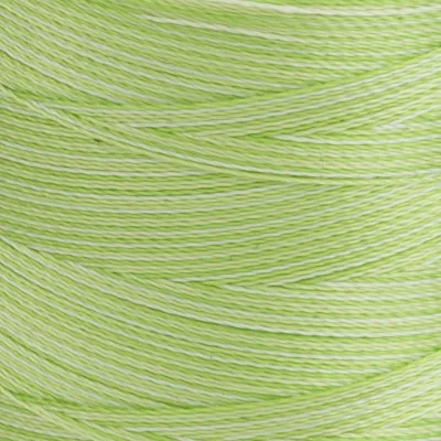 Spule Sulky Rayon 40 Stickgarn in Hellgrün, Farbcode 2113